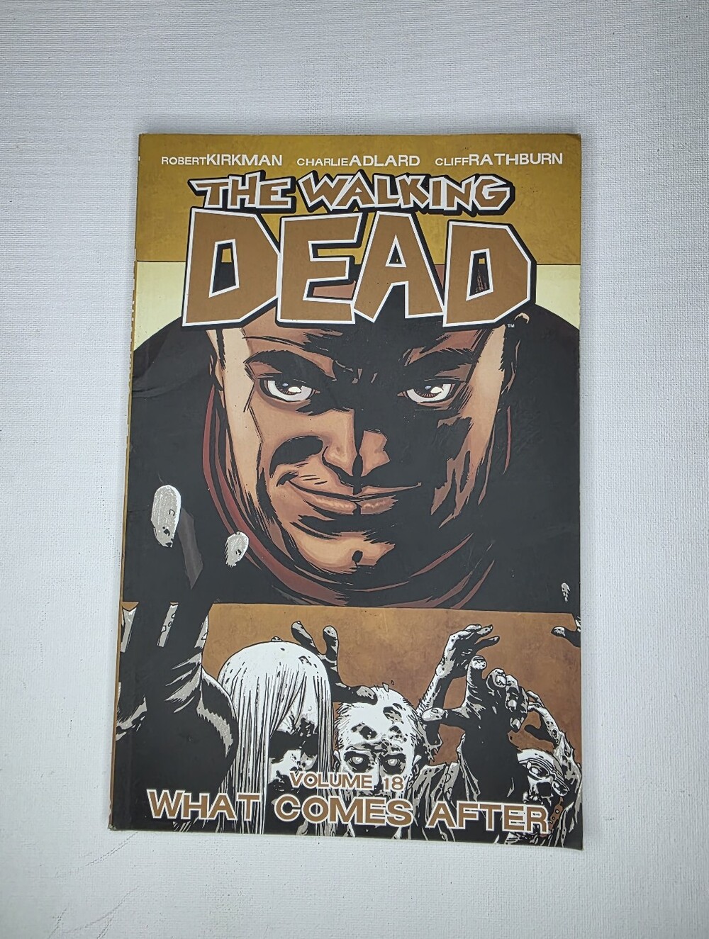 The Walking Dead Volume 18: What Comes After - Gold & Black Comic